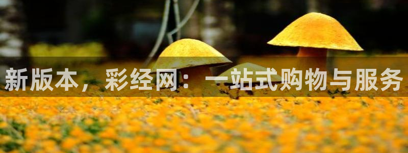 壹号娱乐下载入口：新版本，彩经网：一站式购物与服务
