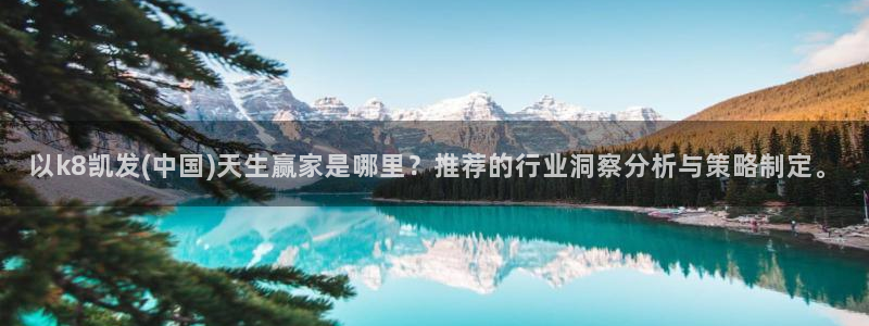 壹号娱乐com：以k8凯发(中国)天生赢家是哪里？推荐的行业洞察分析与策略制定。