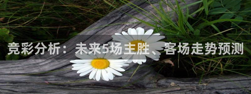 壹号娱乐,apk.：竞彩分析：未来5场主胜、客场走势预测
