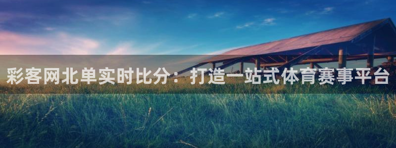 壹号大舞台有梦你就来：彩客网北单实时比分：打造一站式体育赛事平台